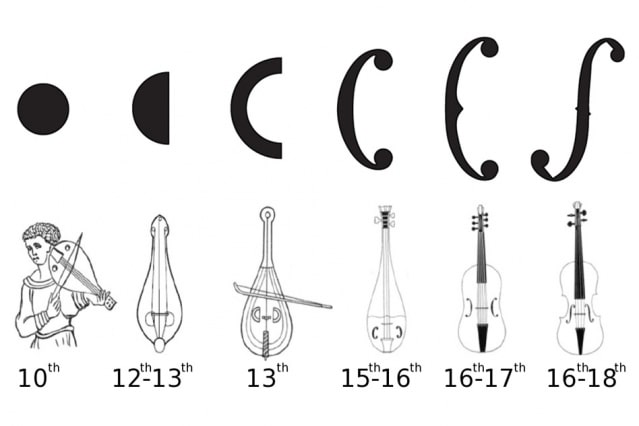 L'évolution de la forme des ouïes des instruments à cordes frottées européens.