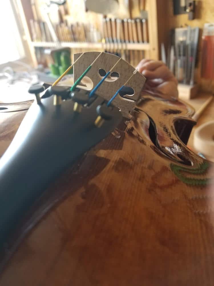 Le meilleur violon pour débuter - Le cordier
