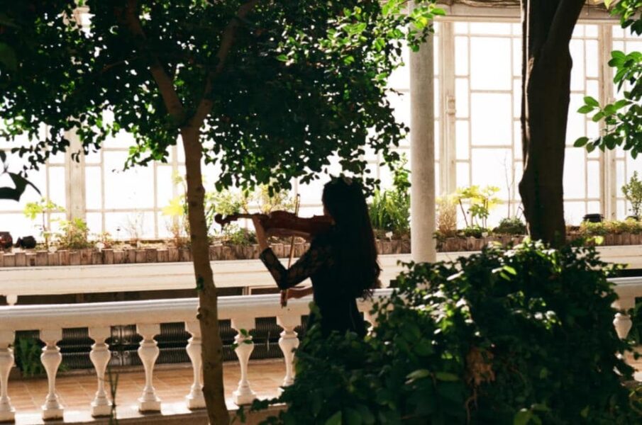 Où trouver un professeur de violon à Strasbourg ?