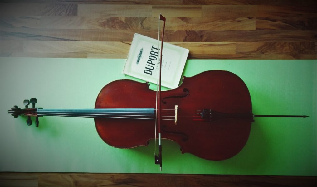 Violoncelle Marianne Dumas