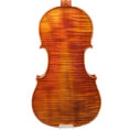 violon-gaucher-passion-tradition-maitre-fond.jpg