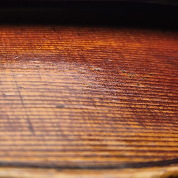 Violon Allemand Anonyme XIXe - Vernis